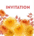 Yellow autumn chrysanthemum flower card template. golden-daisy f