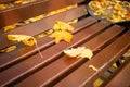 autumn dry leaves lie on park bench. close up Royalty Free Stock Photo