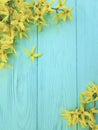 Yellow autumn flowers on a blue wooden background Royalty Free Stock Photo