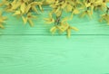 yellow fresh autumn flowers border on mint wooden texture background Royalty Free Stock Photo