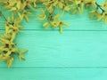 yellow fresh autumn flowers on mint wooden texture background Royalty Free Stock Photo