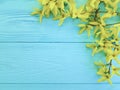 Yellow autumn flowers natural season on a blue wooden background Royalty Free Stock Photo