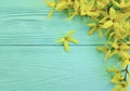 Yellow autumn flowers season on a blue wooden background Royalty Free Stock Photo