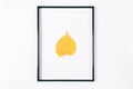 Yellow autumn leaf in a black frame Royalty Free Stock Photo