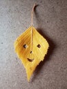 Yellow autumn leaf on a gray background in the form of a smiley, smile face. Royalty Free Stock Photo