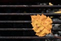 Yellow autumn leaf on the grill of a camp stove Royalty Free Stock Photo