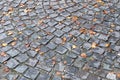 Yellow autumn leaves on the old paving roadway.