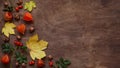 Yellow autumn leaves, red rose hips, orange fezalis and acorns on old brown wooden background, top view, flat lay, copy space. Royalty Free Stock Photo