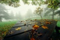 Yellow autumn leaves on the table the background of a misty forest Royalty Free Stock Photo