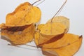 Yellow Autumn Leaves On White Background, Space For Text,