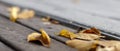 Yellow autumn leaves on a wooden pavement close up