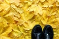 Yellow autumn maple leaves and black shoes