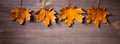 Yellow autumn maple leaves on wooden background Royalty Free Stock Photo