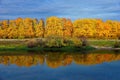 Yellow autumn oak near the water reflection beautiful landscape