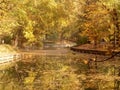 Yellow autumn painting-like park lake landscape with strong water reflection and a bridge in the background, branches framing Royalty Free Stock Photo