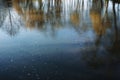 Yellow autumn tree leaves reflection in river water Royalty Free Stock Photo