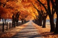 Yellow autumn trees on the alley in the park. Generative AI Royalty Free Stock Photo