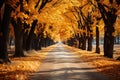 Yellow autumn trees on the alley in the park. Generative AI Royalty Free Stock Photo