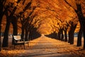 Yellow autumn trees on the alley in the park. Generative AI Royalty Free Stock Photo