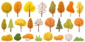 Yellow autumn trees. Colorful garden tree, autumnal garden bush and fall season tree leaves vector illustration set