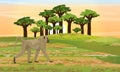 Yellow baboon is walking on the African savannah. Baobab grove. Realistic vector landscape