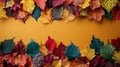 Yellow Background With Autumn Leaves and Berries Royalty Free Stock Photo