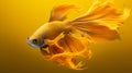 Vibrant Yellow Background with Beautiful fish Royalty Free Stock Photo