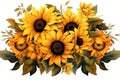 Yellow background nature sun blossom leaf summer sunflower flower bright beauty floral plant Royalty Free Stock Photo