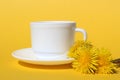 On a yellow background stands a white cup with a saucer and dandelion flowers. Royalty Free Stock Photo