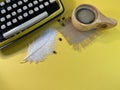 Ostrich pen and typewriter prepared for work Royalty Free Stock Photo