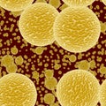Yellow bacteria or virus spheres in blood, generated texture Royalty Free Stock Photo