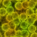 Yellow bacteria or virus spheres in blood, generated texture Royalty Free Stock Photo