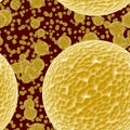 Yellow bacteria or virus spheres in blood, generated texture Royalty Free Stock Photo