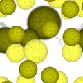 Yellow bacteria or virus spheres in white space, generated texture Royalty Free Stock Photo