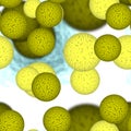 Yellow bacteria or virus spheres in white space, generated texture Royalty Free Stock Photo