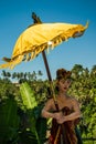 Yellow balinese ceremonial umbrellas, Bali, Indonesia