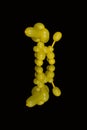 Yellow balloon animal poodle dog over reflection on black Royalty Free Stock Photo