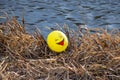 The yellow balloon with the image of a cheerful muzzle