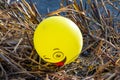 The yellow balloon with the image of a cheerful muzzle