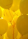 Yellow Balloons