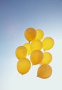 Yellow balloons in the blue sky