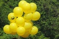yellow balloons with smiley face Royalty Free Stock Photo