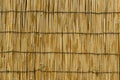 yellow bamboo curtain wooden background Royalty Free Stock Photo