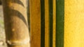 Yellow bamboo that grows in the yard, looks natural vertical texture, suitable for use as a decorative background image Royalty Free Stock Photo