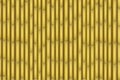 Yellow Bamboo texture