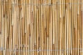 Yellow Bamboo wall Royalty Free Stock Photo