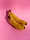 2 Yellow banaba Kept On Pink background with saddow Royalty Free Stock Photo