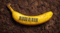 Yellow Banana Featuring Barcode Symbol on Soil Background Unique Concept Royalty Free Stock Photo