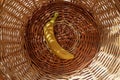 yellow banana inbasket Royalty Free Stock Photo