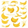 Yellow Banana Sliced Whole Peeled and in Bunch Big Vector Set